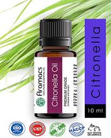 Citronella - Java Essential Oil Therapeutic Grade Oil 10 ML