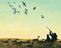 Hi-Look Microfiber Cleaning Cloth - Unexpected