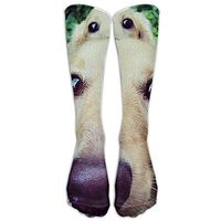Golden Retriever Men Women Long Socks Stockings Novelty Tube Socks Fun Patterned Cotton Socks