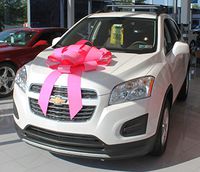 30" Magnetic Car Bow - Made in USA (Pink)