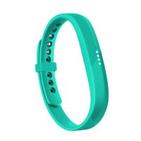 RedTaro Compatible with Fitbit Flex 2 Band, Replacement for Fitbit Flex 2 Accessories Silicon Wristbands w/Fastener Clasp Fitness Strap for Original Fitbit Flex 2, No Tracker (Mint Green, L)