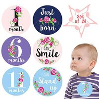 Baby Monthly Stickers,Floral Baby Milestone Stickers,Baby Girl Month Stickers,Newborn Girl Stickers,1st Year Birth Months Belly Decals,Best Shower Basket Present,Scrapbook Memory Registry Gift 24 pcs