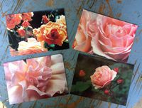 Roses Photo Cards - 4 Blank Cards and Envelopes - Gift