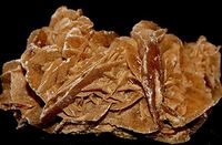 Desert Rose Gypsum Selenite Family Crystal DES1809