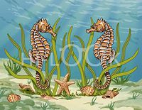 Hi-Look Microfiber Cleaning Cloth - Seahorse