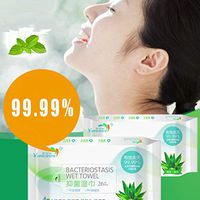 Health Wet Wipes for Home ,26 Tablets Wet Wipes Per Pack And Disinfection Wipes Nursing Wipes Clean And Hygienic for Women Men