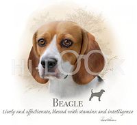 Hi-Look Microfiber Cleaning Cloth, dog design - Beagle