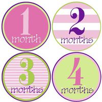Mumsy Goose Baby Girl Monthly Milestone Stickers Pink Purple Green 1-12 Months