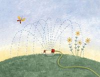 Hi-Look Microfiber Cleaning Cloth - Summer Sprinkler