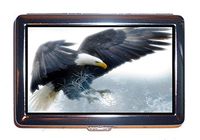 Cigarettes Case Bald Eagle Bird Predator Raptor Wildlife Nature (Cigarettes box)
