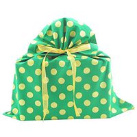 Reusable Gift Bag with Metallic Accents for Any Occasion (Medium 17 Inches Wide by 18.5 Inches High, Green)
