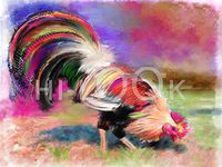 Hi-Look Microfiber Cleaning Cloth - Pheonix Rooster