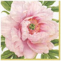 Caspari Blush Paper Dinner Napkins - Four Packs of 20