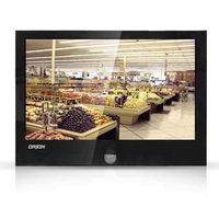 Orion Images Corp 32PVMV 32-Inch Public Vue LCD Monitor with Built-In Camera (Black)