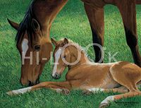 Hi-Look Microfiber Cleaning Cloth - Spring