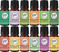 Wild Essentials Top 6 Single Note and Top 6 Synergy Oil Blend, 100% Premium Essential Oils Starter Kit, Gift Set, Sampler 10ml Bottles