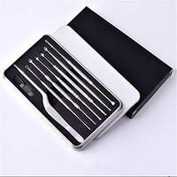 Essencedelight Ear Pick Kit Stainless Steel Ear Cleaning Tool Set Ear Cleaner with Storage Box for Women Men Ear Wax Removing Tools