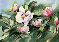 Hi-Look Microfiber Cleaning Cloth - Magnolia, Louisiana State Flower