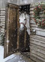 Avanti 10-Count Blank Christmas Notecards with Envelopes, The Horse from Snowy Farm
