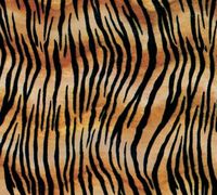 5ct Tiger Stripe Tissue Paper for Gift Wrapping 20"x30" Sheets Animal Print Safari nfLG -1361