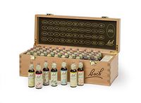 Bach Original Flower Remedies Professional Set Box