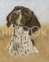 Hi-Look Microfiber Cleaning Cloth - Pointer