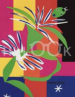 Hi-Look Microfiber Cleaning Cloth - Creole Dancer