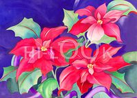 Hi-Look Microfiber Cleaning Cloth - Poinsettias
