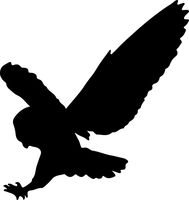 hBARSCI Owl Vinyl Decal - 5 Inches - for Cars, Trucks, Windows, Laptops, Tablets, Outdoor-Grade 2.5mil Thick Vinyl - Black