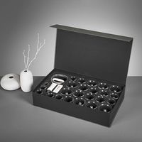 High Quality Chinese Cup Professional Cupping Therapy Set with Pump Gun