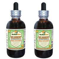 Bilberry (Vaccinium Myrtillus) Glycerite, Dried Berries Alcohol-Free Liquid Extract (Brand Name: HerbalTerra, Proudly Made in USA) 2x4 fl.oz (2x120 ml)