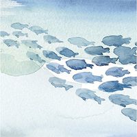 Evergreen Set of 2,Luncheon Size Napkin, 6.5"x6.5", Pack of 20, Sea Life