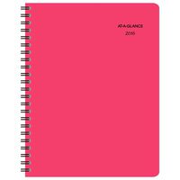 AT-A-GLANCE 155-905-16 Professional Weekly/Monthly Planner 2016, 8.5 x 11 Inches, Whoopsie Daisy (155-905)