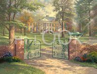 Hi-Look Microfiber Cleaning Cloth - Graceland 50th Anniversary