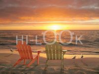 Hi-Look Microfiber Cleaning Cloth - Sunlight