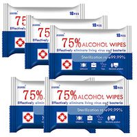 NKeepB 5 Pack 75% Alcohol Disinfection Wipes, Wet Wipes, Personal Cleansing Wipes for Outdoor Use Daily Protection (5 Packs,50Wipes)