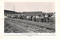 Print Ad 1933 Davy Jones Locker Submits To a Carpet