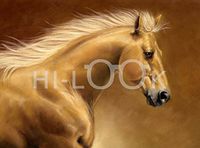 Hi-Look Microfiber Cleaning Cloth - Palomino