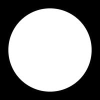 Wild Dingos LLC 34 Wall Decor Dots 1" White