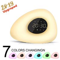 Wake up Light, Natural Sunrise Simulation Alarm Clock Sunset Fading with Color Night FM Radio for Bedside Nightlight and Children - Snooze Function for Heavy Sleepers (Warm White)