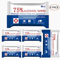 Wet Wipes Travel Size Wipes Bulk 6 Pack for Hand Home House, Tourism, Hotel, Restaurant, Office