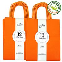 Gift Expressions Paper Gift Bags, 24 Count, Orange Kraft Paper Bags, 8” x 10” x 4.5" 100% Recycled, Thick & Durable Eco Friendly Paper Bags with Handles, Goodie Bags, Party Bags