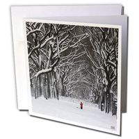 3dRose Christmas in New York Snow Blizzard in Central Park Second Picture Greeting Cards, Set of 12 (gc_45557_2)