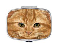 LuxSweet Orange Tabby Cat Decorative Boxes Silver Rectangular Pill Box Medicine Tablet Holder Wallet Organizer Case for Pocket or Purse