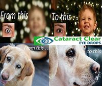 2 x 15ml (0.5 fl oz) Bottles of The Best Cataract Treating Eye Drops Anywhere, 2% N-Acetyl-Carnosine. Twice as Strong as Most Similar Products. Holistic & Proven Gently Effective on People & Pets!