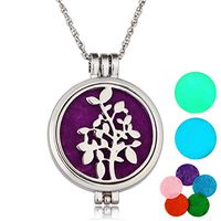 HOUSWEETY Aromatherapy Essential Oil Diffuser Necklace - Locket Pendant,5 Colorful Pads+2 Noctilucent Pads