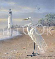 Hi-Look Microfiber Cleaning Cloth - Beach Patrol Egret