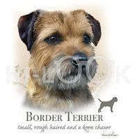 Hi-Look Microfiber Cleaning Cloth, dog design - Border Terrier