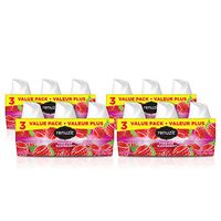 Renuzit Gel Air Freshener, Forever Raspberry, 12 Count