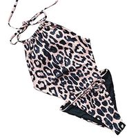 Gojendy Women's Retro Vintage Leopard Printed One Pieces Swimsuit Halter Spaghetti Backless High Cut Sexy Monokini (S, Brown)